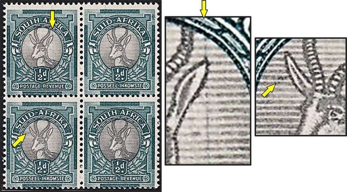 1936 Union ½d UMM(**) Block - Tagged Left Ear & V-Line Left of Buck