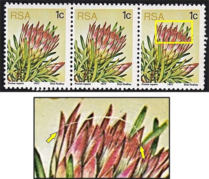 1978 RSA 1c Protea UMM(**) Strip Variety - White Arch through Protea (Mechanical Print Flaw)