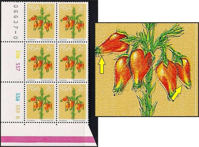 1974 RSA 2c UMM(**) Variety - Colour Shift/Double Outline on Flowers
