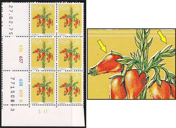 1974 RSA 2c UMM(**) Variety - Colour Shift/White Shadow on Flowers