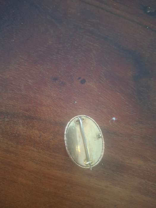 Butterfly wing set In 9kt gold  vintage brooch or pendant