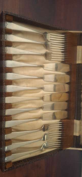 Fish knife and forks in original case vintage