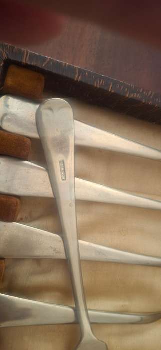 Fish knife and forks in original case vintage