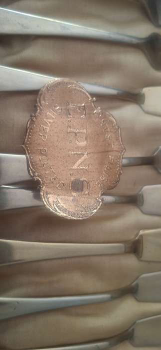 Fish knife and forks in original case vintage