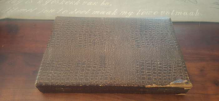 Fish knife and forks in original case vintage