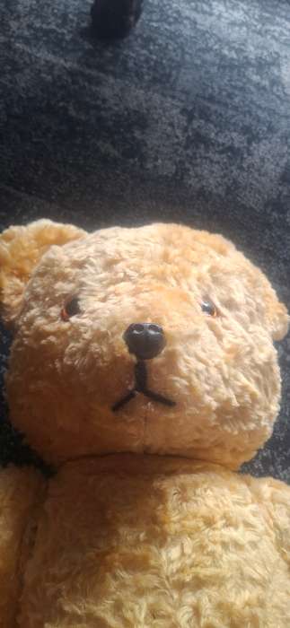 Vintage teddy bear mohair
