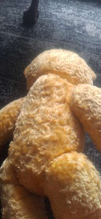 Vintage teddy bear mohair