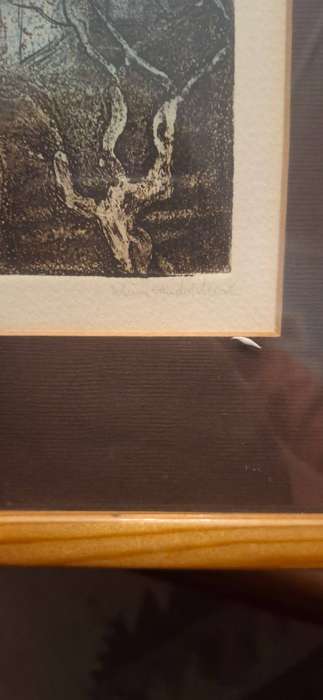 Vintage framed print Mini van der Merwe
