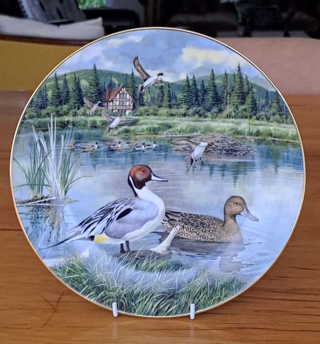 Knowles Plate 'The Pintail'