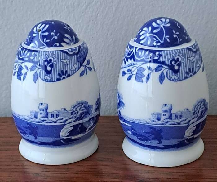 Spode Italian Salt and Pepper Set
