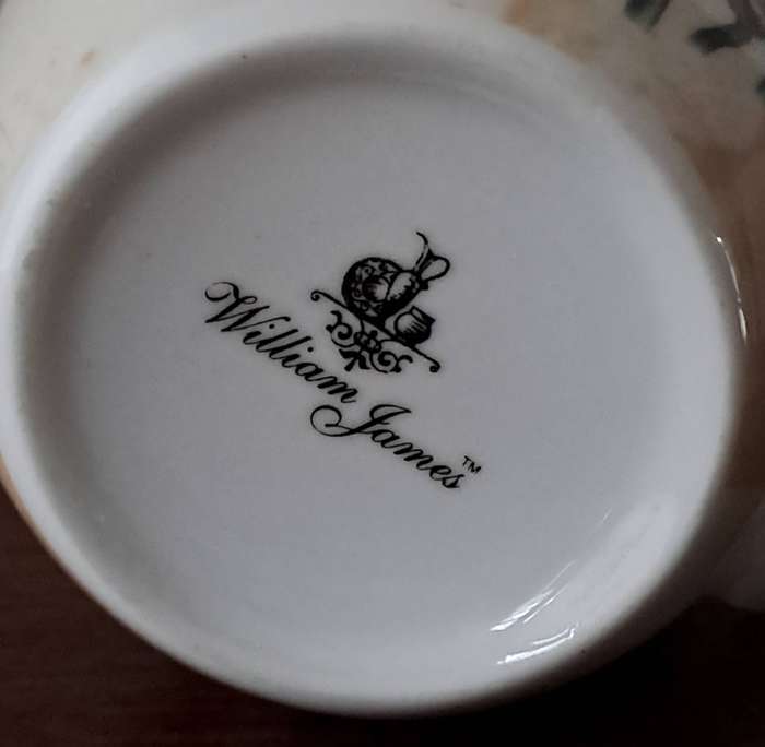 William James Mug