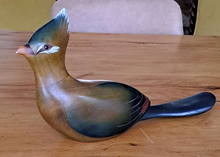 Feathers of Knysna Lourie
