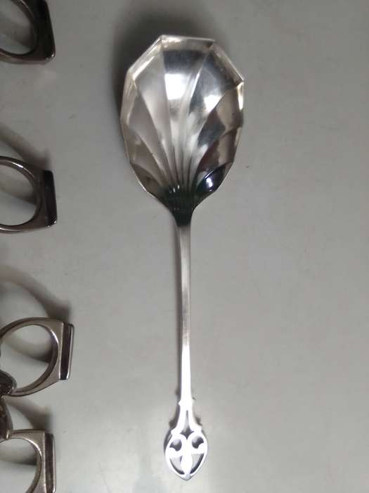 8 Grape fruit spoon set and 4 butterfly napkin rings