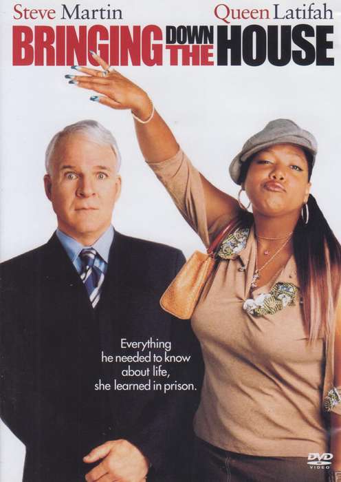 Bringing Down The House (DVD)