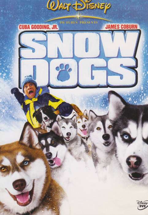 Snow Dogs (DVD)