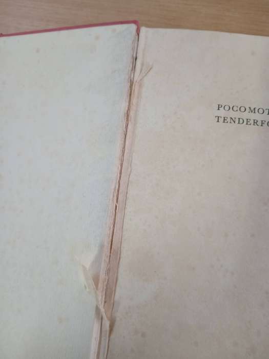 Pocomoto- Tenderfoot by Rex Dixon