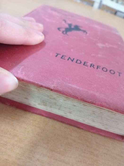 Pocomoto- Tenderfoot by Rex Dixon