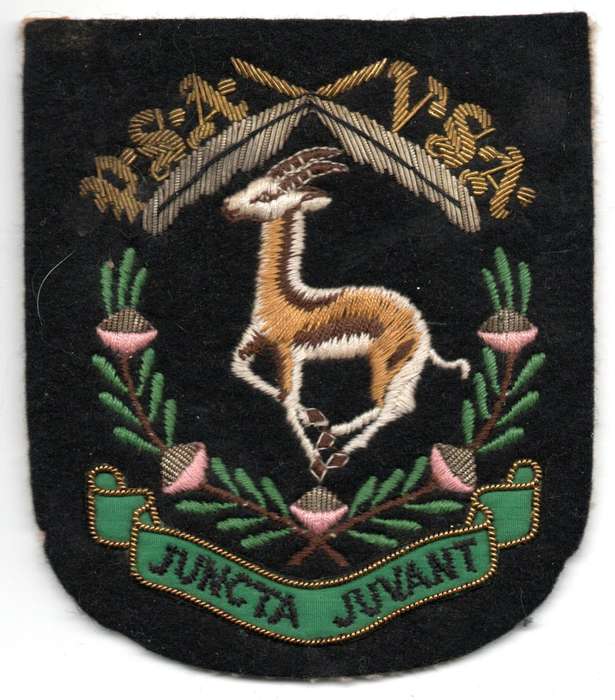 1950's South Africa Antique Bullion-Wire Springbok & Protea Wreath Blazer Badge 113 × 118 mm