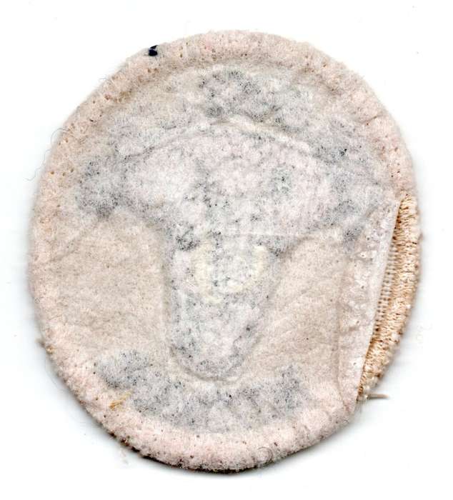 Botswana Chobe Game Lodge Material Patch 47mm x 54mm