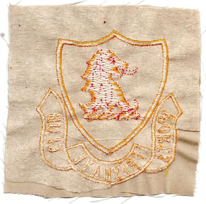 Vintage South Africa Cape Town Fresnaye Sports Club Material Patch 118mm x 115mm