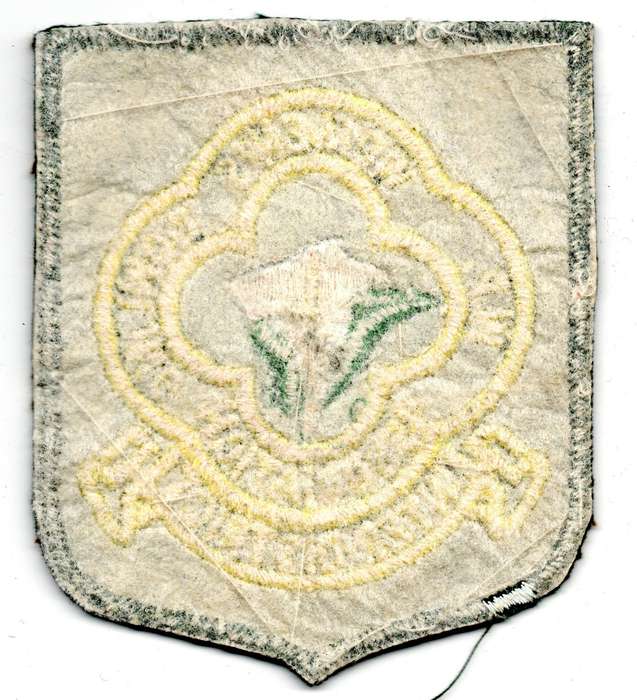 Vintage Western Province Women's Bowling Association Inter District Material Patch 82mm x 96mm