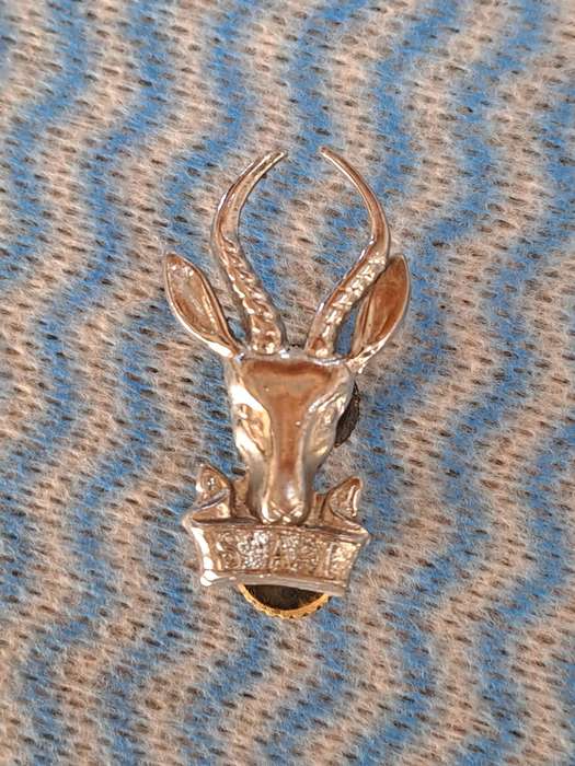 SA Infantarie barret cap badge
