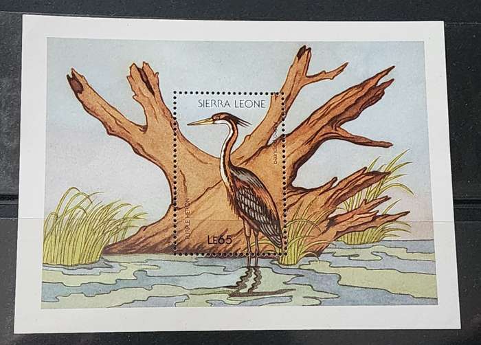 BIRD STAMPS -SIERRA LEONE M/Sheet Le65 value featuring "PURPLE HERON" -Superb MNH