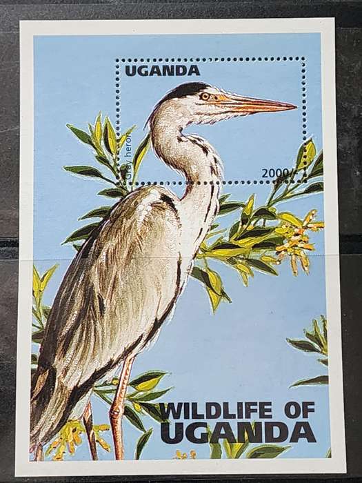 BIRD STAMP -UGANDA M/Sheet 2000/- high value featuring "GREY HERON" -Superb MNH