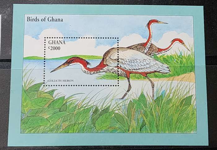 BIRD STAMP -GHANA M/Sheet c2000 high value featuring "GOLIATH HERONs" -Superb MNH