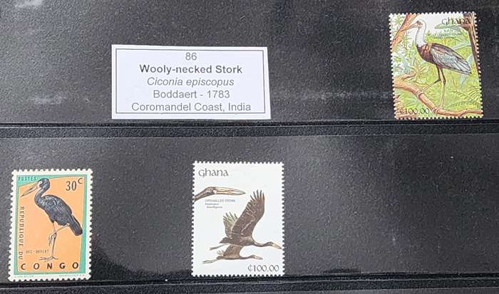BIRD STAMP -GHANA / Congo MNH - BIRD thematic study (3) on STORKS fantastic lot!