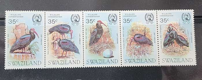 BIRDS WWF  SWAZILAND MNH -BIRD thematic "BALD IBIS" Strip of 5- Scarce and AMAZING issue, great cat