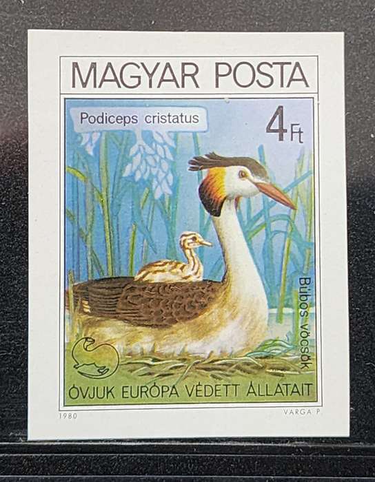 BIRDs - Stunning HUNGARY IMPERF M/s featuring DUCK and baby, LOVELY MUST SEE !