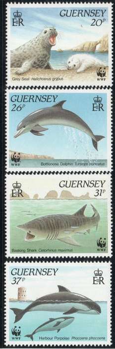Guernsey 1990 Marine Life set of 4 unmounted mint. SG 501-504. Cat £4,25 (2013)