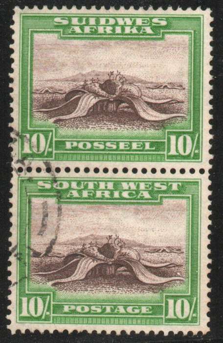 South West Africa 1931 Defin 10/- vertical pair very fine used. SACC 113. Cat R800 horizontal (2025)