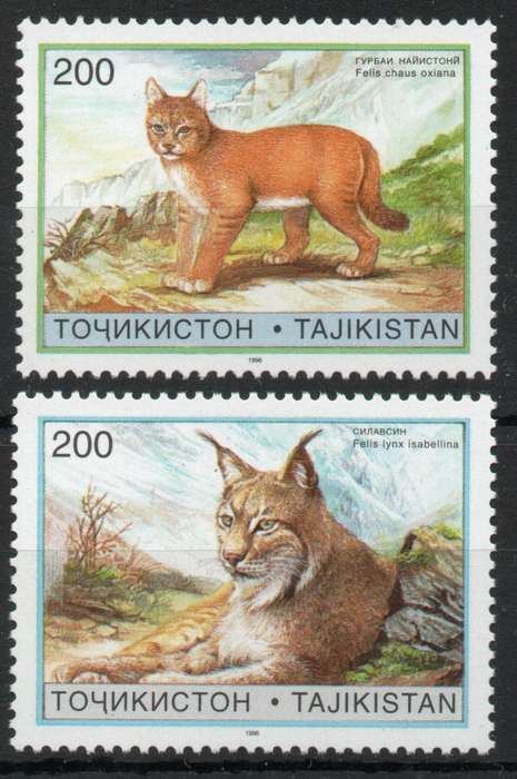 Tajikistan 1996 Animals Wild Cats set of 2 unmounted mint. SG 94-95. Cat £6,50 (2013)