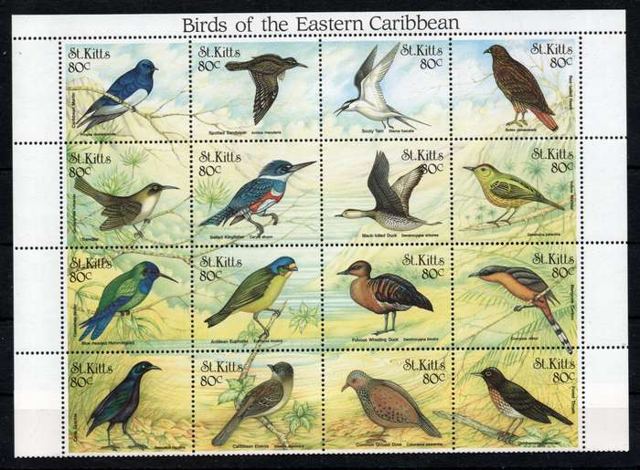 St Kitts 1999 Birds of the Eastern Caribbean sheet of 16 umm. SG 522-537. Cat £9,60 (2013)