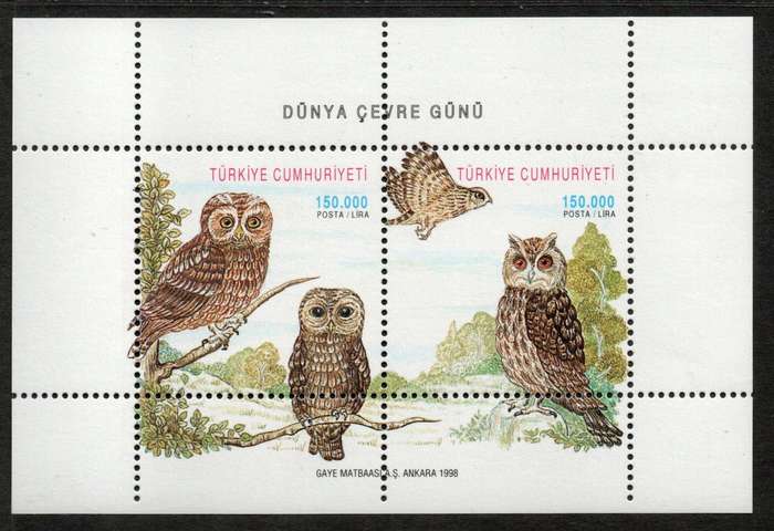 Turkey 1998 Owls (Birds) mini sheet unmounted mint. SG MS 3347. Cat £4 (2013)