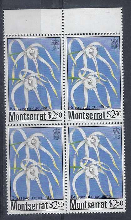 MONTSERRAT 1985 $2.50 m  block of 4  SG 634 blue orchids CAT R 60