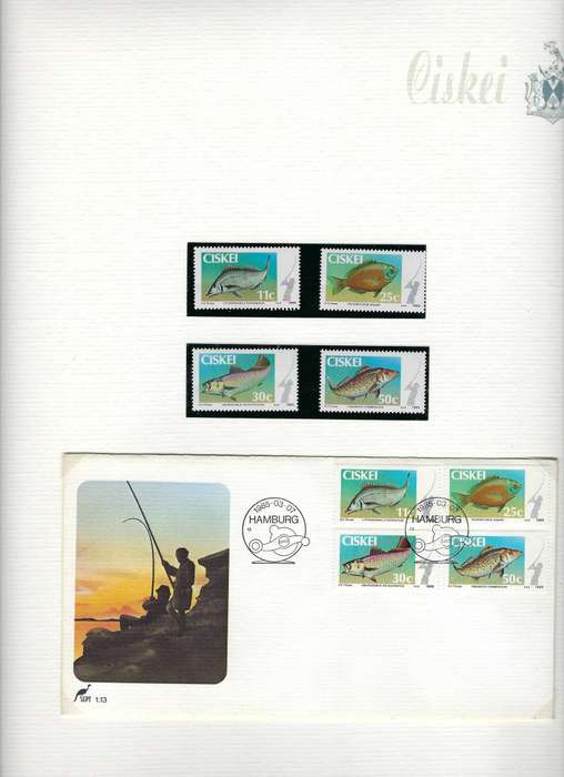 CISKEI TBV 1985 collection of envelopes and stamps, mm, in arch folder, 35+ pages  CAT R 500