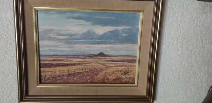 Oil on board Framed Karoo