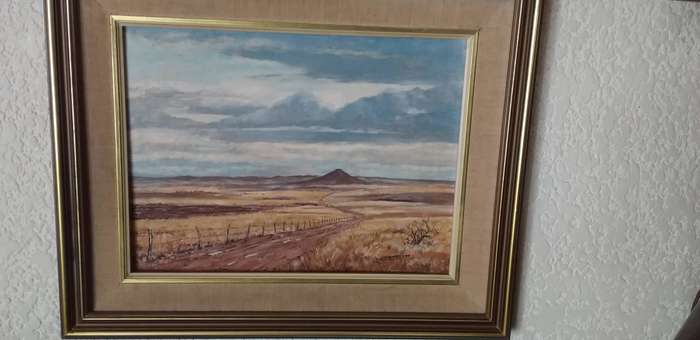 Oil on board Framed Karoo