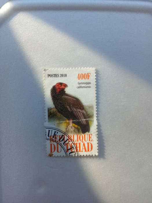 Chad stamp