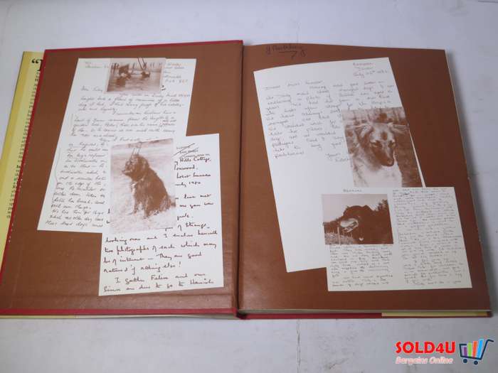 Intelligent and Loyal - A Celebration of the Mongrel - Jilly Cooper