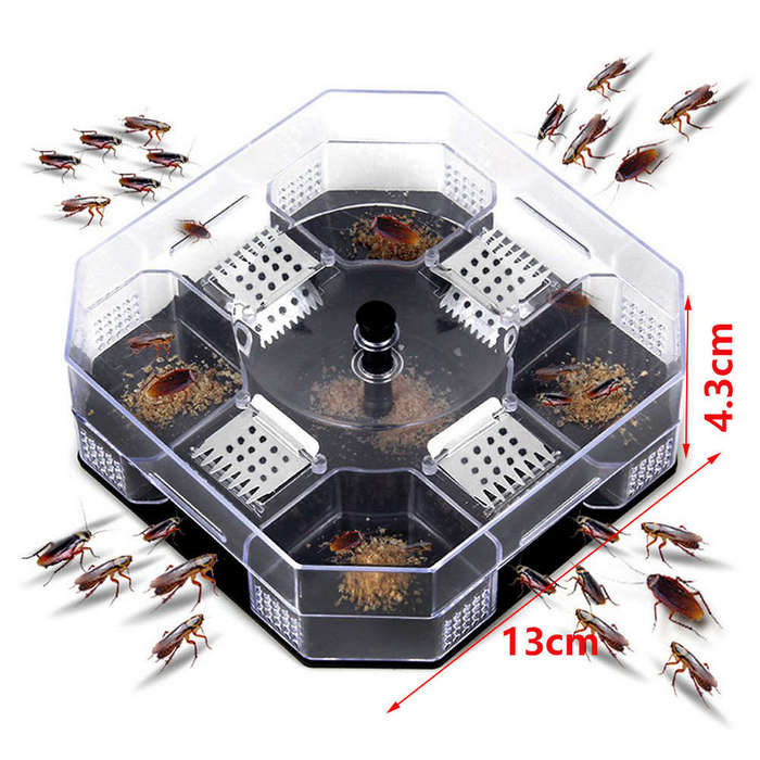 Reusable Cockroach Trap Catcher Box
