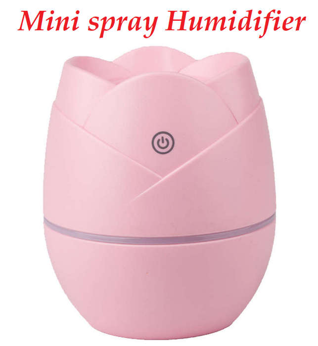 Rose Mini spray Humidifier USB powered