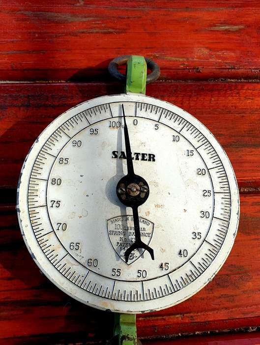 ANTIQUE CAST IRON SALTER 100LBS SCALE