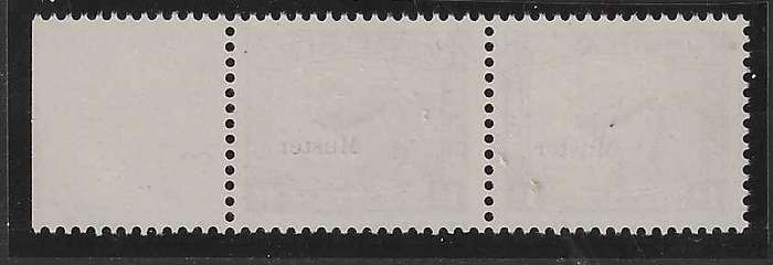 Union: 1923 scarce Carmine Harrison Essay "MUSTER" marginal pair superb unused - as issued.