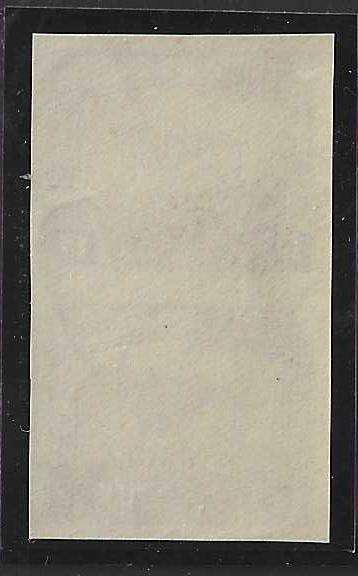 Union: 1923 the PURPLE Harrison Essay Imperf pair MNH.