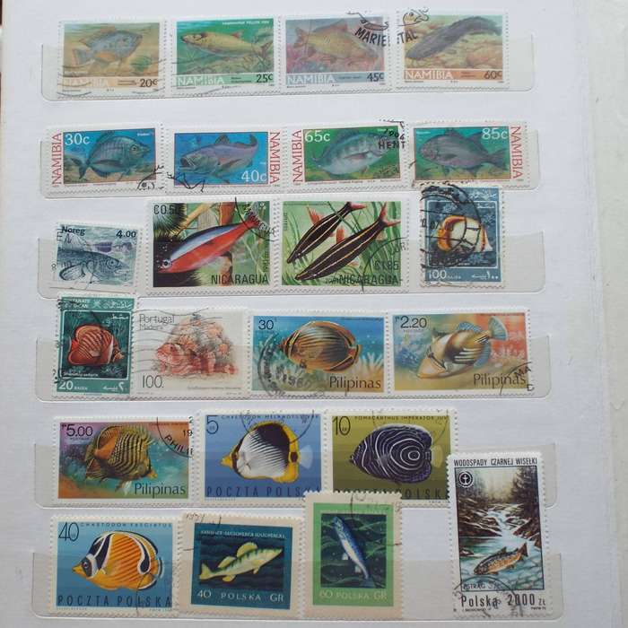 Stock Book - Thematics - Sea and Fresh Water Life - >360 Stamps