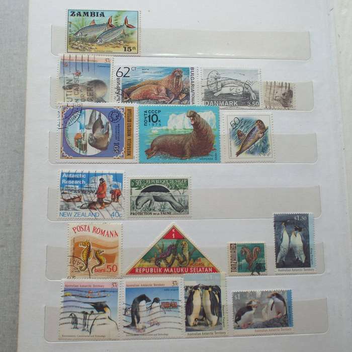 Stock Book - Thematics - Sea and Fresh Water Life - >360 Stamps